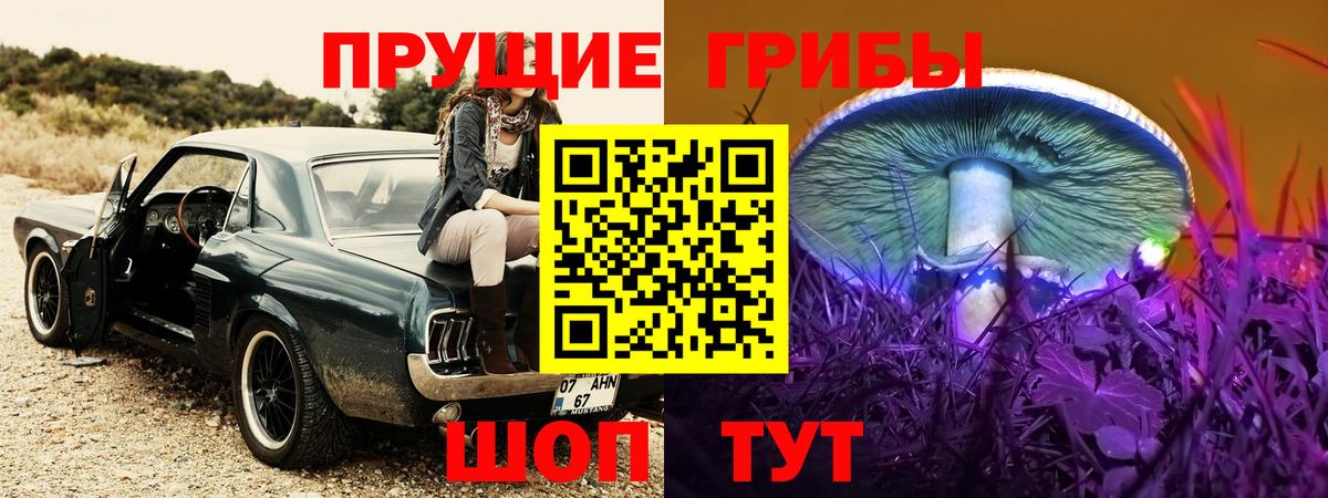 Псилоцибиновые грибы мухоморы Острогожск