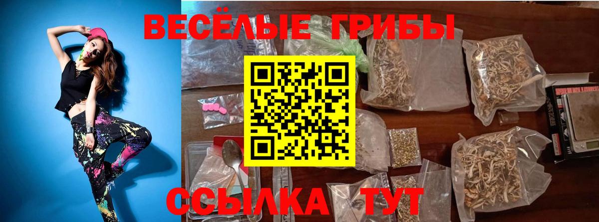 Острогожск  Псилоцибиновые грибы прущие грибы  Вход с VPN  Галлюциногенные грибы Magic Shrooms 