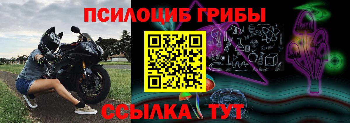Галлюциногенные грибы мицелий Острогожск