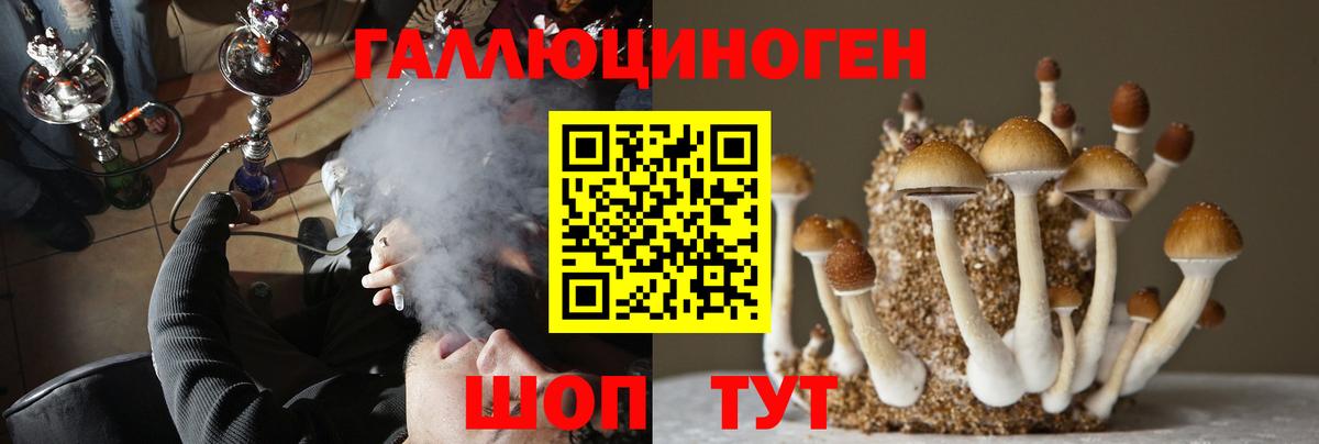 Галлюциногенные грибы GOLDEN TEACHER  Вход с VPN  Острогожск  Псилоцибиновые грибы Psilocybine cubensis 